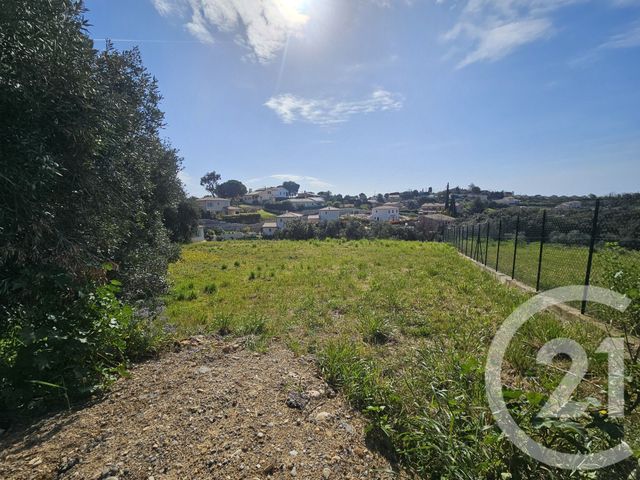 terrain à vendre - 2000.0 m2 - ST LAURENT DU VAR - 06 - PROVENCE-ALPES-COTE-D-AZUR - Century 21 Rivièra Transactions