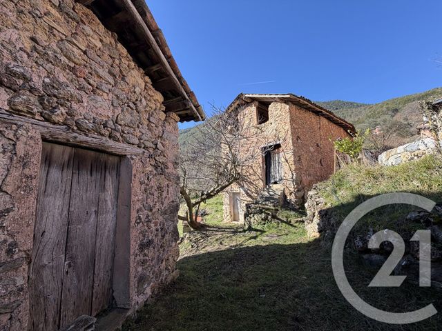 terrain à vendre - 15590.0 m2 - ROQUEBILLIERE - 06 - PROVENCE-ALPES-COTE-D-AZUR - Century 21 Rivièra Transactions