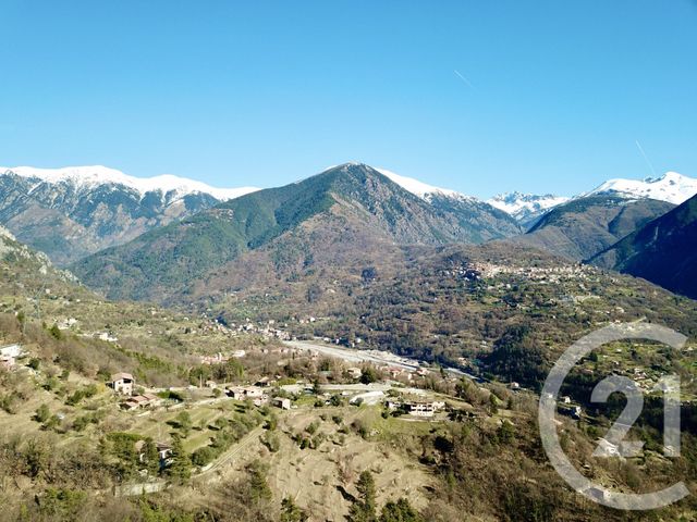 terrain à vendre - 15590.0 m2 - ROQUEBILLIERE - 06 - PROVENCE-ALPES-COTE-D-AZUR - Century 21 Rivièra Transactions